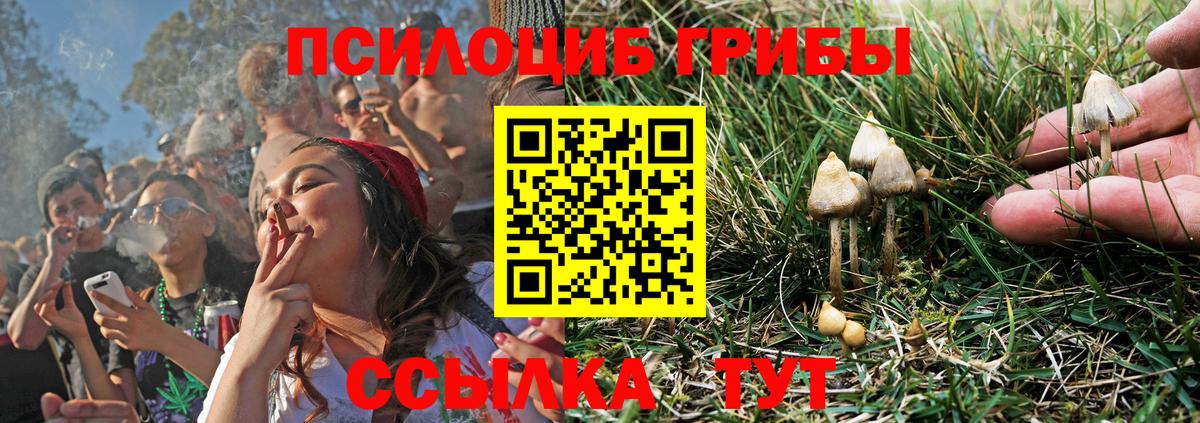 Рязань  Галлюциногенные грибы Magic Shrooms  Вход с VPN 